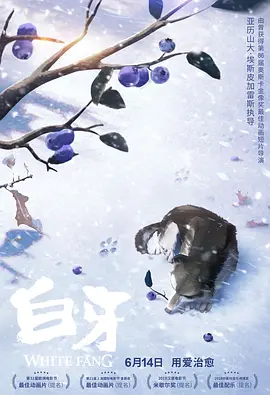 国内精自视频品线六区免费